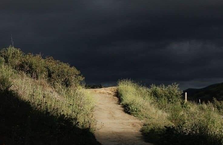 yalnızca yirmi dönümlük bir yerim var